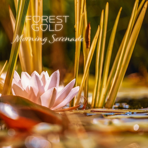 国产成人AV网大全
