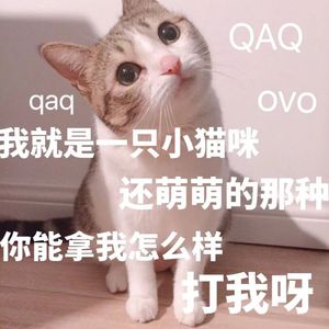 国产成人AV网大全
